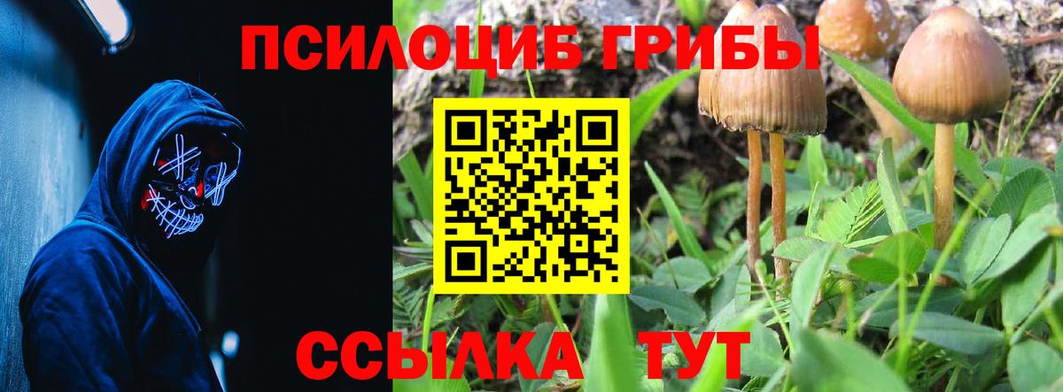 Красноармейск  Псилоцибиновые грибы Magic Shrooms  Вход с VPN 